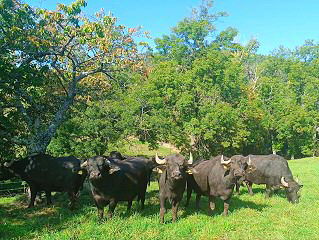 Ferme de Presles