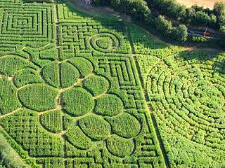 Labyrinthe Végétal