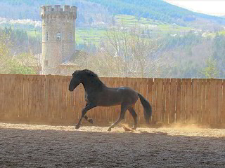 Centre équestre le Vergier